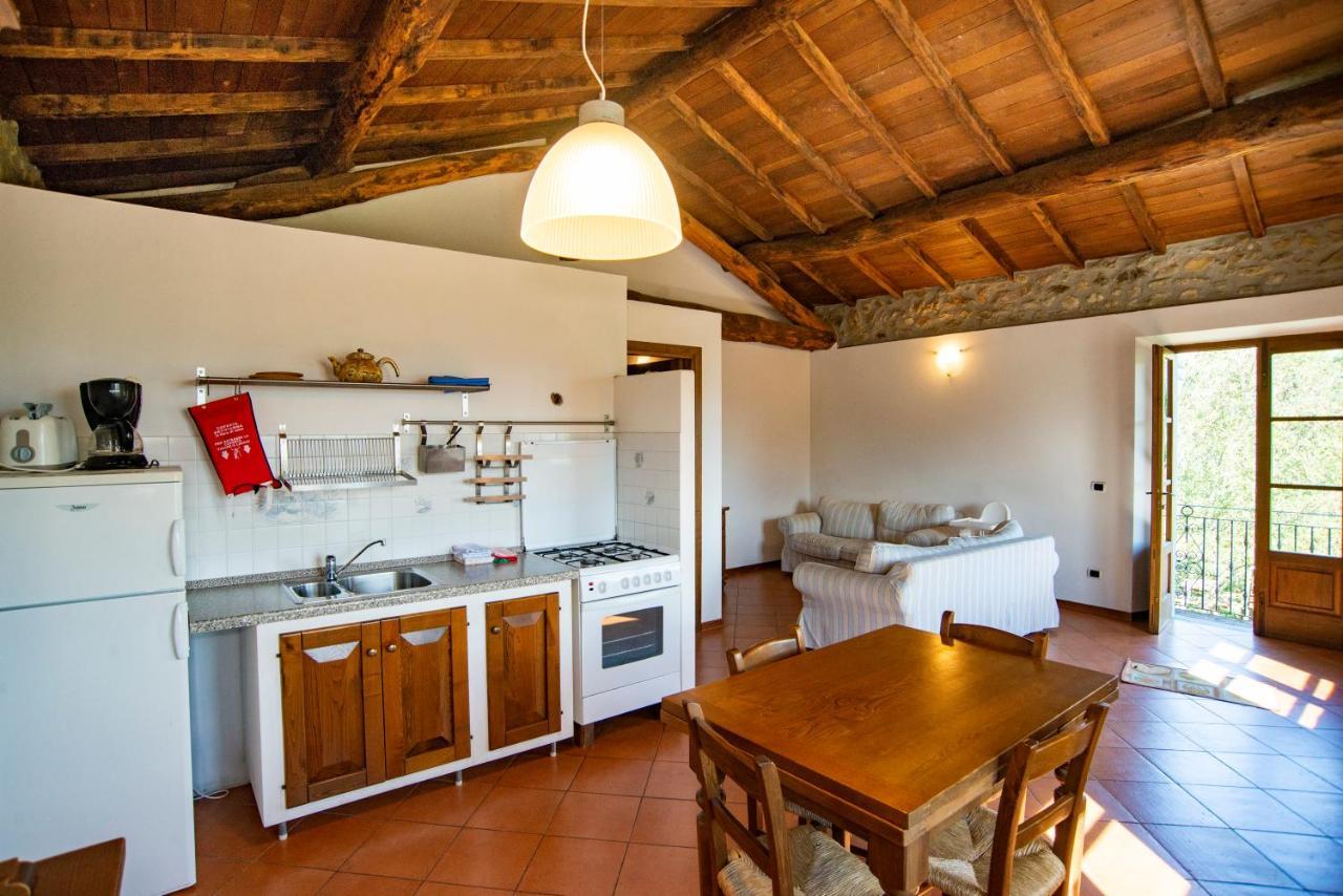Agriturismo Il Corniolo Castiglione di Garfagnana Exterior foto